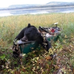 2010 Fall Black Bear Champ