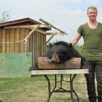 2011 Young Hunter , Old Bear 